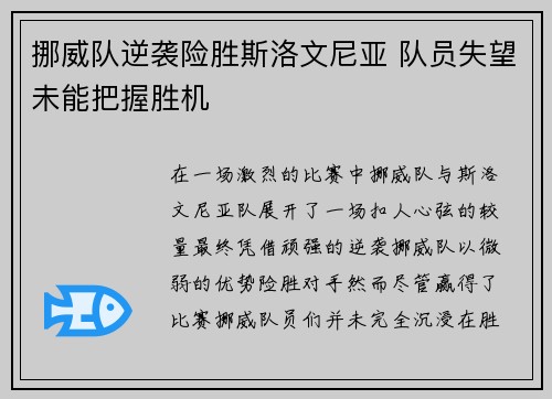 挪威队逆袭险胜斯洛文尼亚 队员失望未能把握胜机