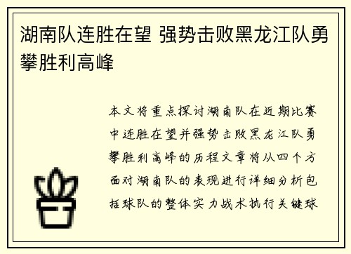 湖南队连胜在望 强势击败黑龙江队勇攀胜利高峰
