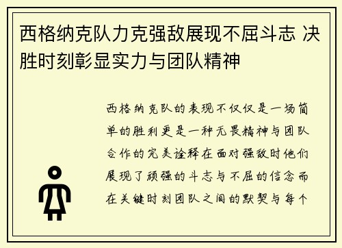 西格纳克队力克强敌展现不屈斗志 决胜时刻彰显实力与团队精神