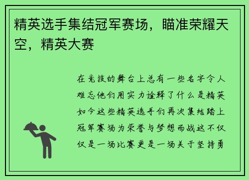 精英选手集结冠军赛场，瞄准荣耀天空，精英大赛